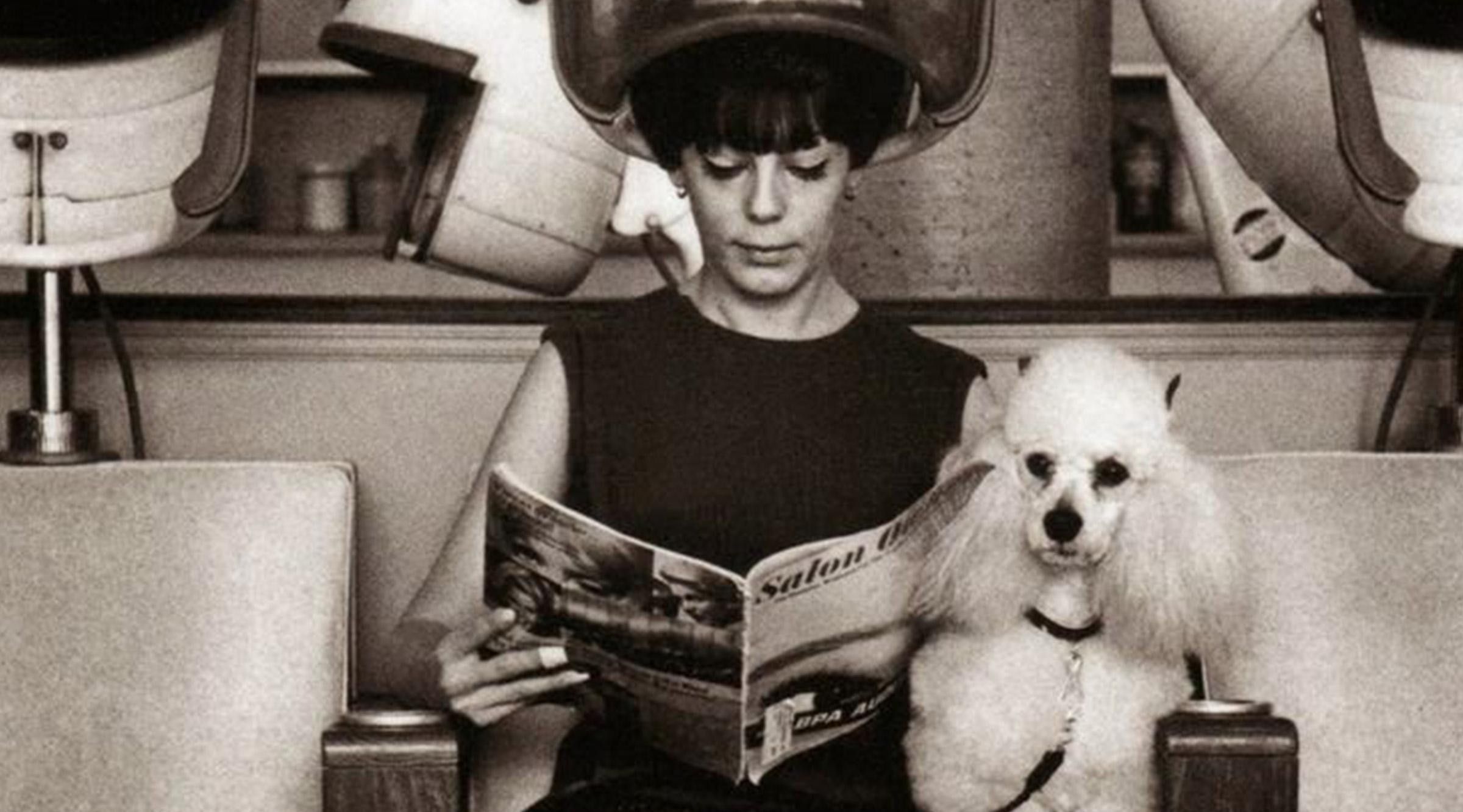 La coiffeuse sans ciseaux