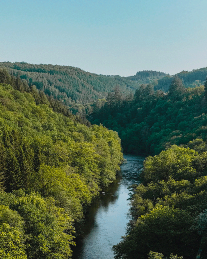 Mission : se mettre au vert